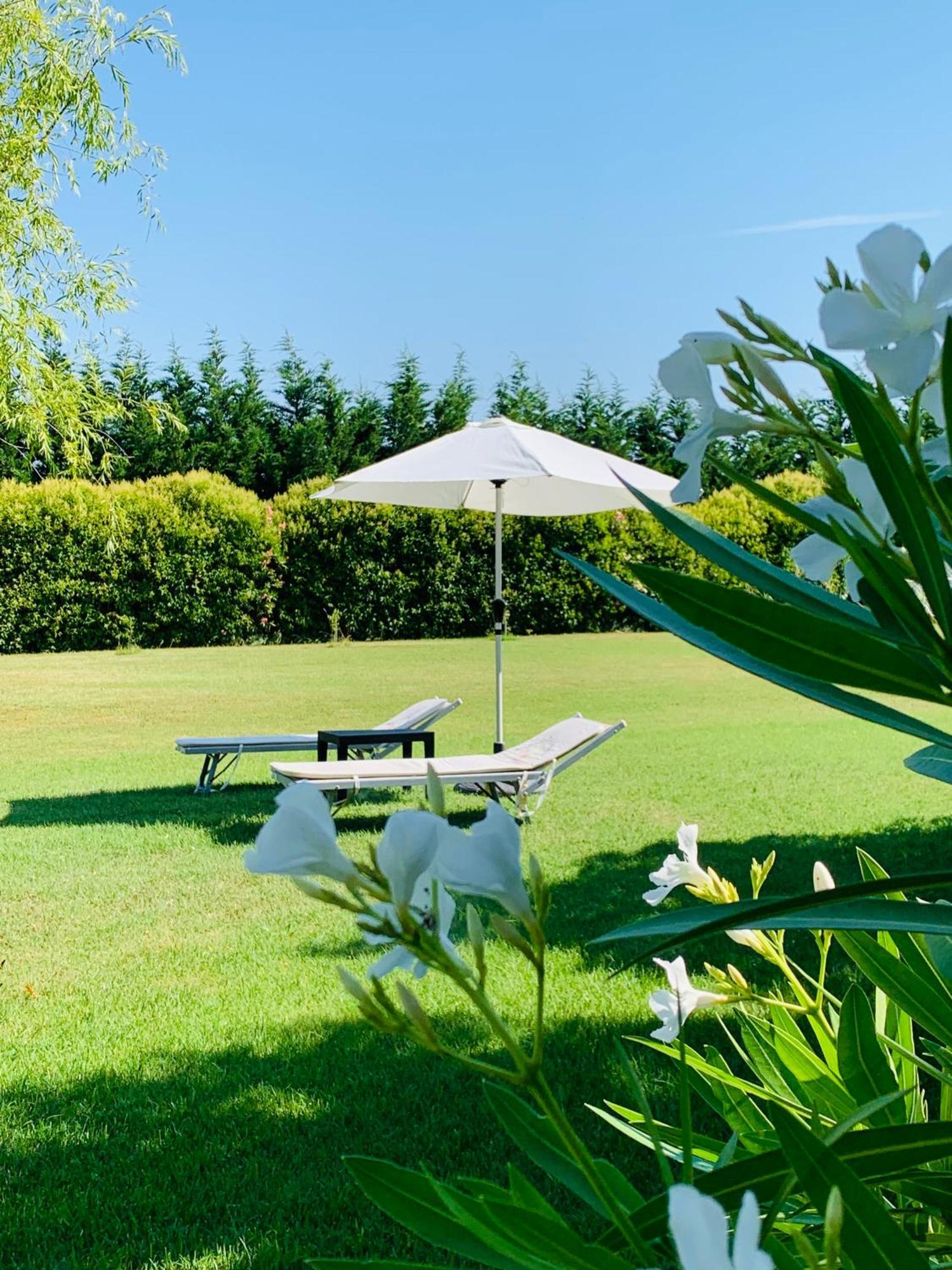 B&B Beauty House Cesena Exterior photo